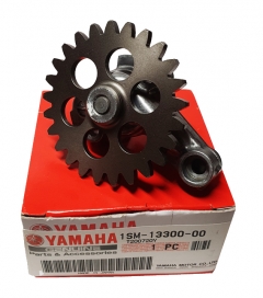 1SM-13300-00-00 YAMAHA WR250F