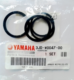 3JD-W0047-00-00 YAMAHA WR450F