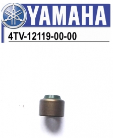 4TV-12119-00-00 YAMAHA YZ250F